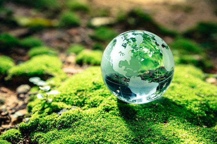 water drop in the shape of the world globe on moss